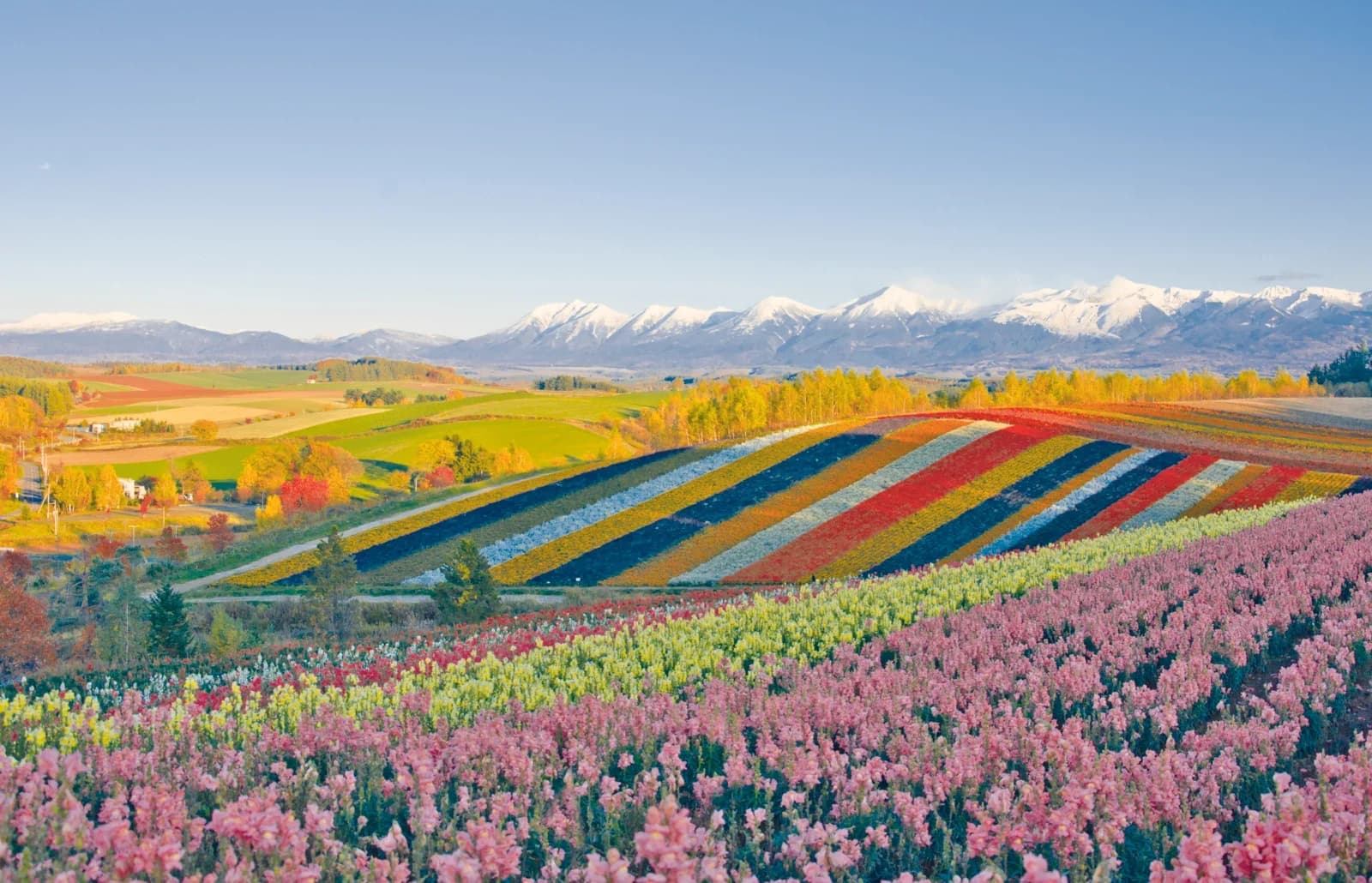 北海道 富良野の美しい風景