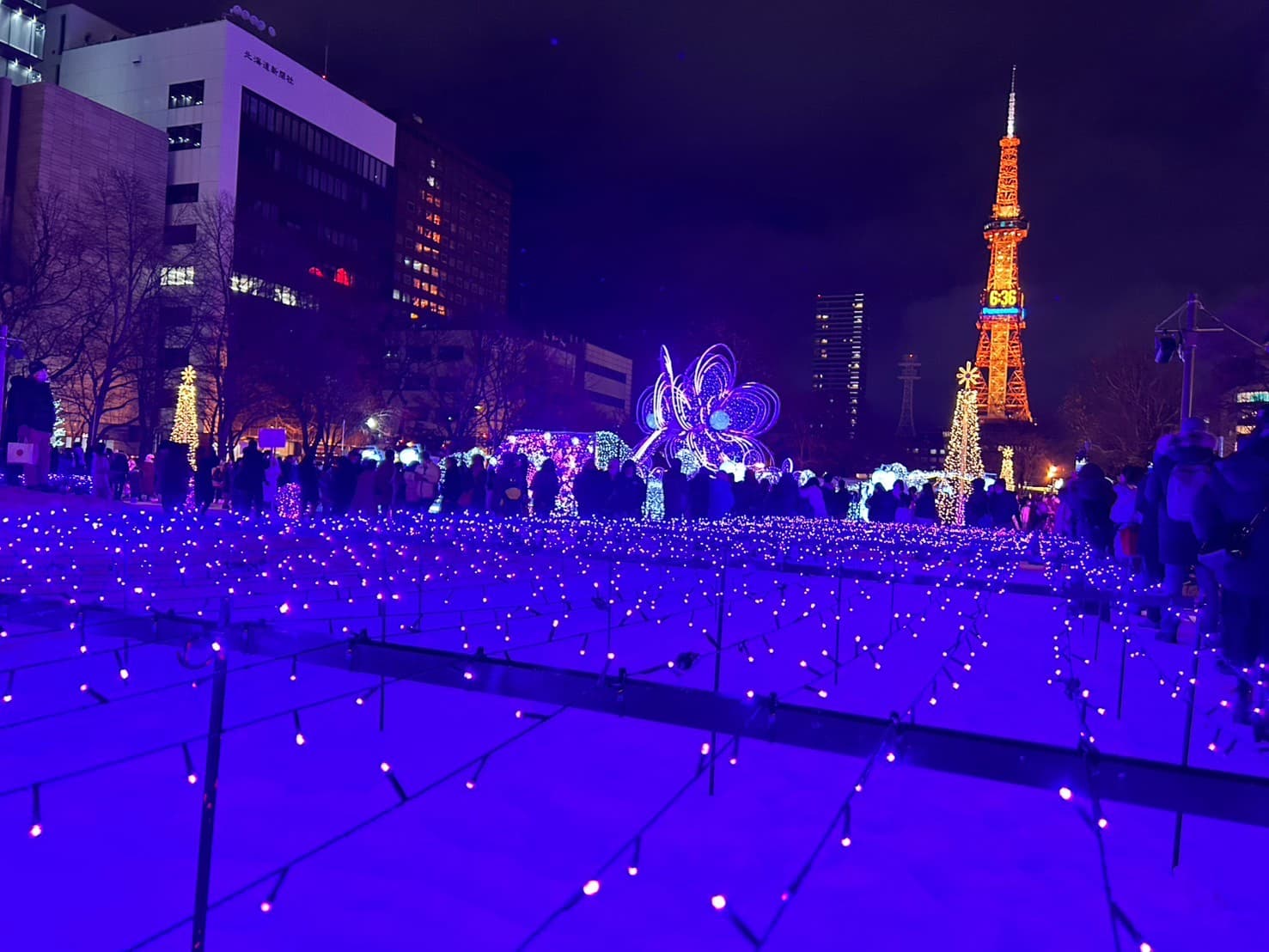 Executive suite for monthly contracts